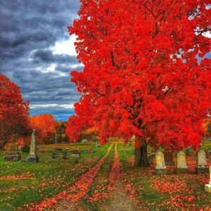 Meet your Posher, Tamara